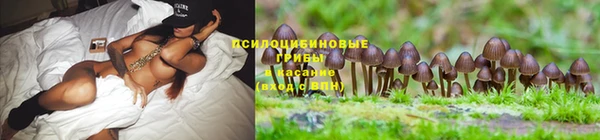 меф Зеленодольск