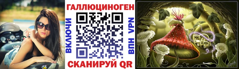 Псилоцибиновые грибы прущие грибы  Купить  Невель 