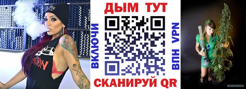 Каннабис сатива  Купить  Невель 